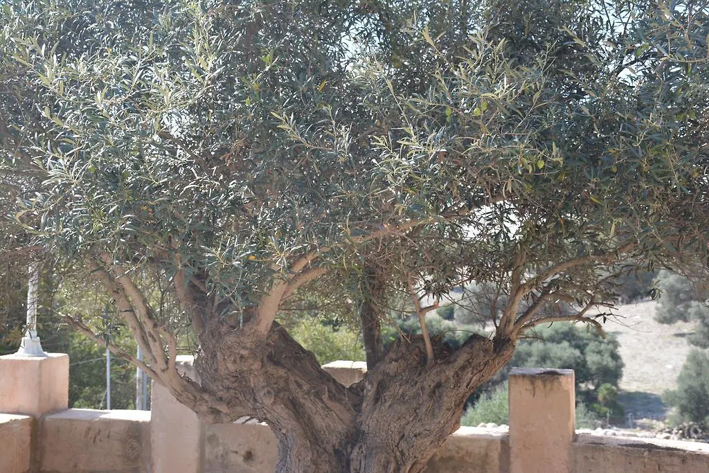 Finca Sa Duaia De Dalt Artá